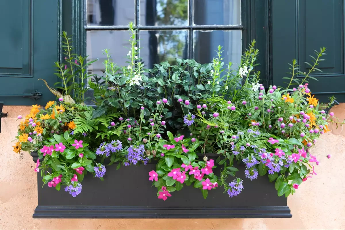 34 Stunning Front Yard Flower Bed Ideas That Will Transform Your Curb Appeal 5 Use Window Boxes