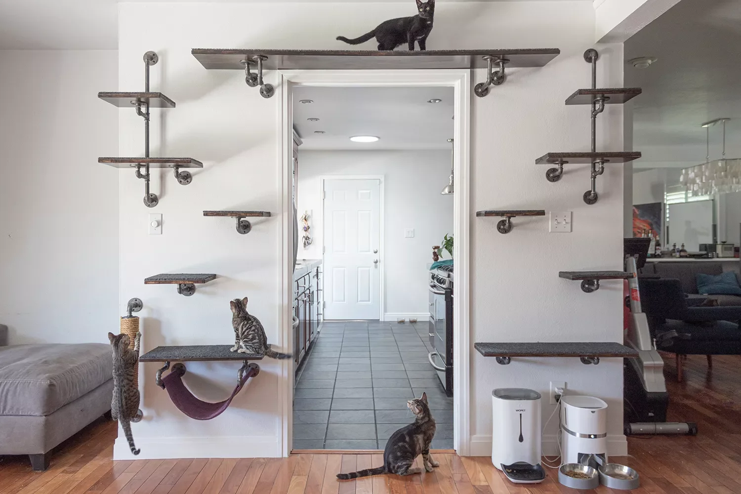 25 Stylish Cat Room Ideas That'll Transform Your Home Into a Feline Paradise 24 Use a Doorway