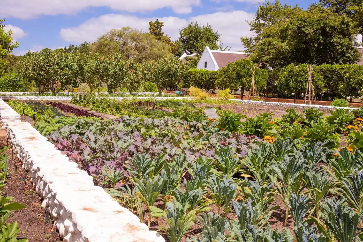 42 Stunning Retaining Wall Ideas to Transform Your Landscape Vegetable Garden Retaining Wall
