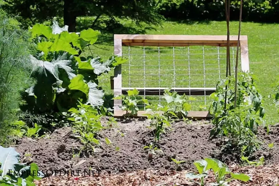 Vegetable Trellis