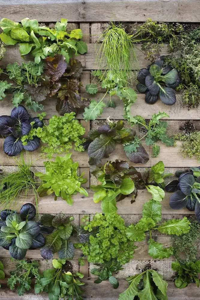 23 Creative Garden Design Ideas That Will Transform Your Outdoor Space Vertical Garden
