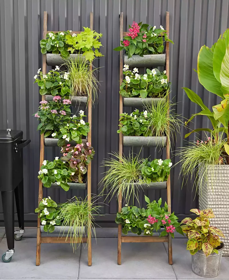 Vertical Gardening