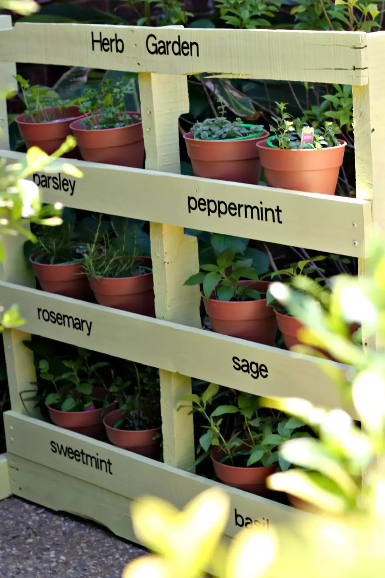 28 Creative DIY Vertical Garden Projects to Transform Your Space Vertical Herb Garden from a Pallet