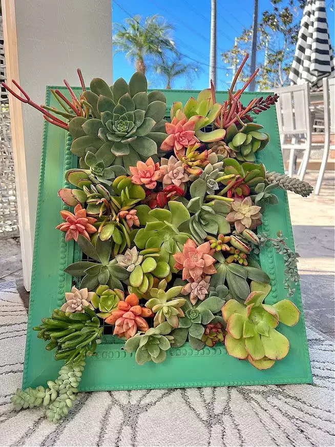 28 Creative DIY Vertical Garden Projects to Transform Your Space Vertical Succulent Planter