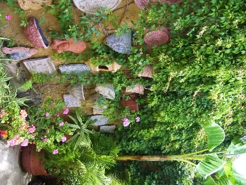 26 Outdoor Privacy Screen Ideas That Create a Private Sanctuary Vines and Wall Pots