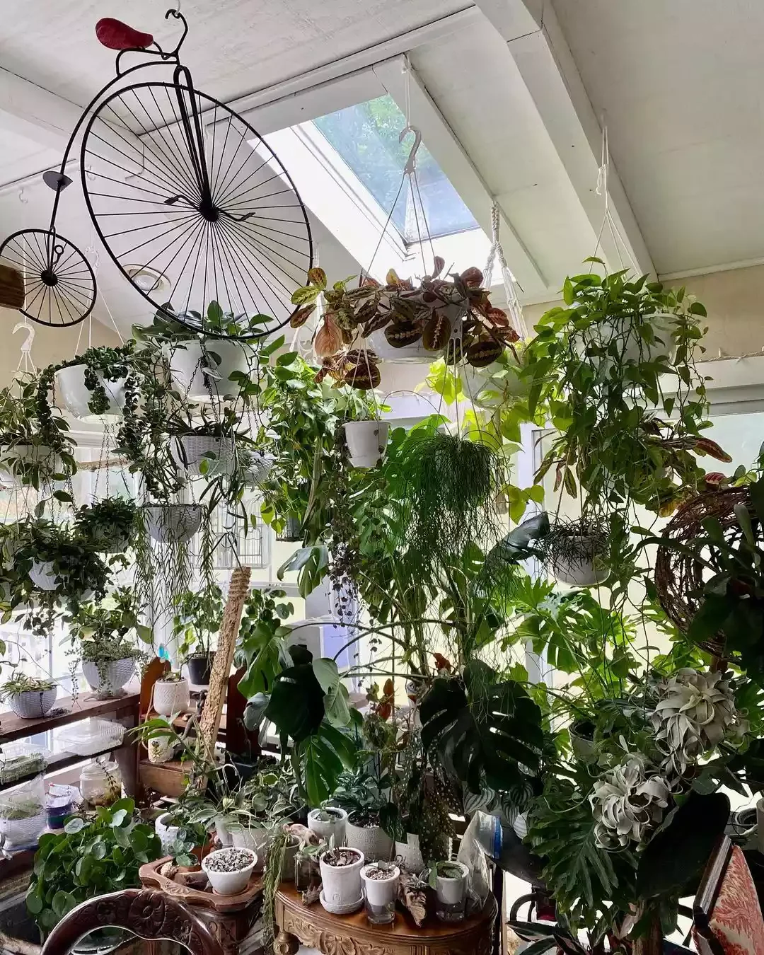 15 Indoor Plant Room Ideas to Create Your Personal Green Paradise 9 Vintage Hanging Plant Room