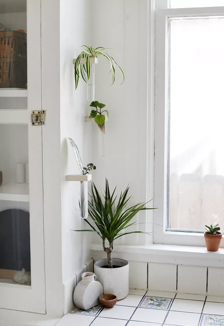 26 Stunning Plant Wall Ideas That'll Transform Your Home Into a Green Paradise 19 Wall-Mounted Bud Vases