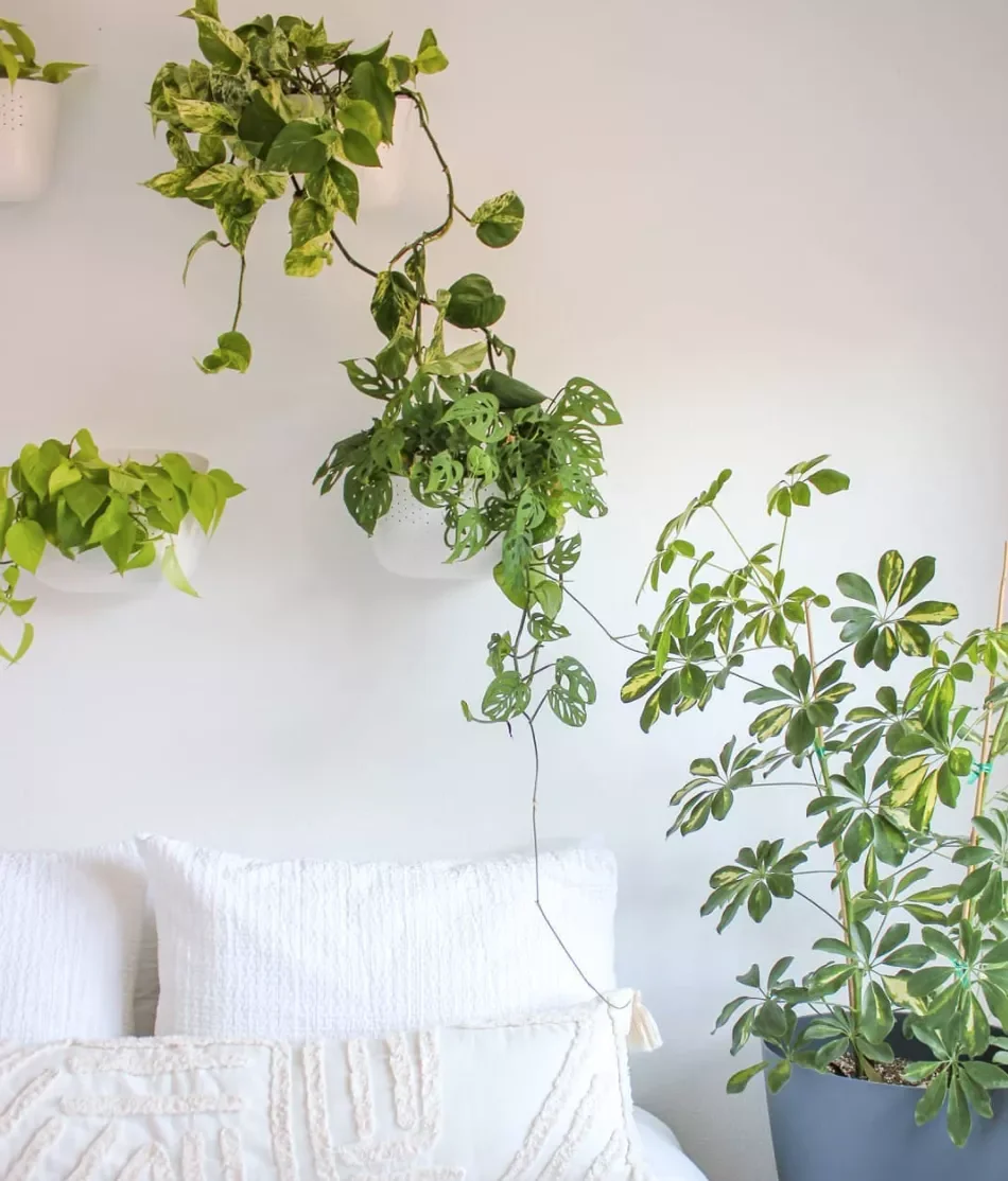66 Creative Ways to Transform the Wall Above Your Bed Into a Stunning Focal Point Wall-Mounted Plants