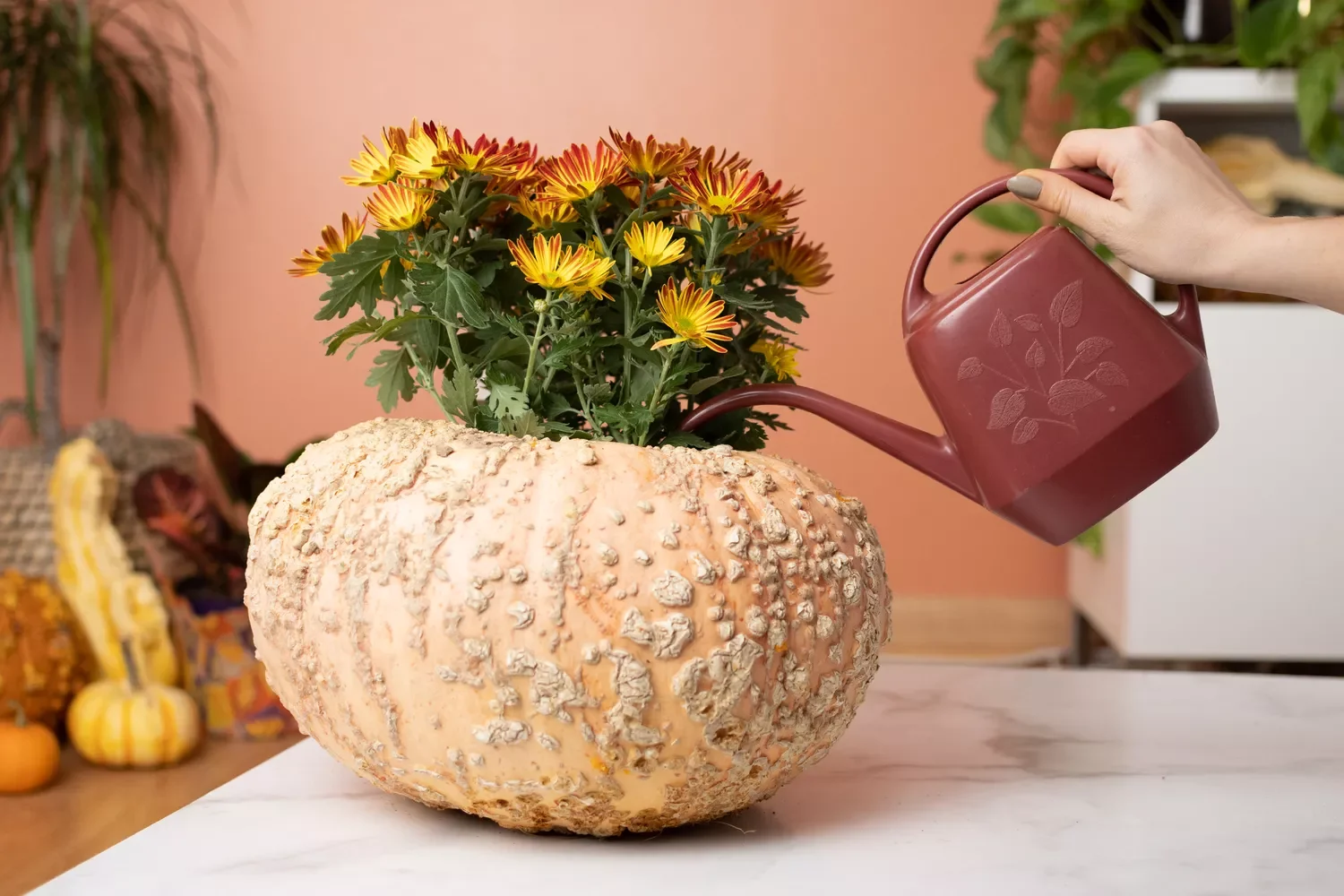 77 Creative Pumpkin Carving Ideas That'll Transform Your Fall Decorating Game 43 Wart Pumpkin Vase