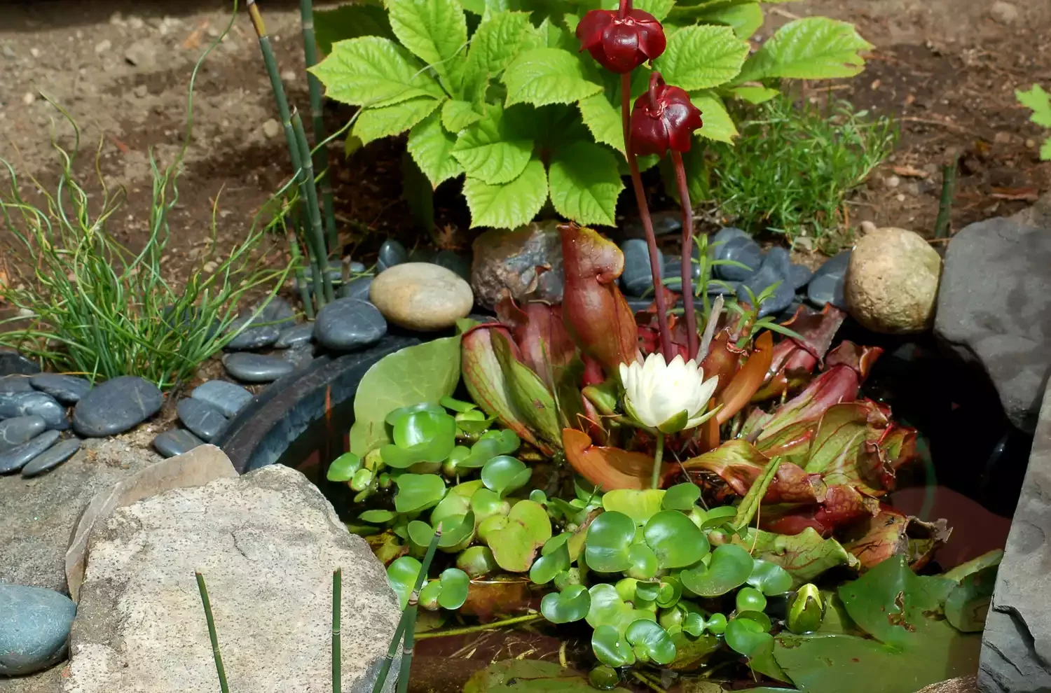 26 Whimsical Fairy Garden Ideas That Will Transform Your Backyard Into Pure Magic Water Features