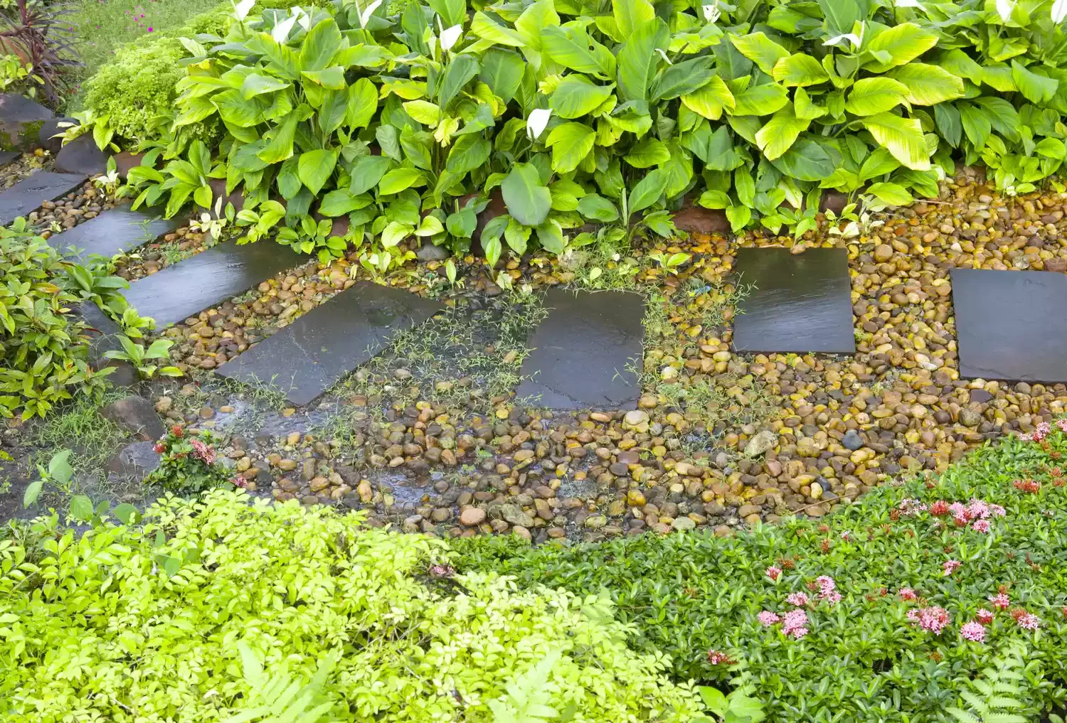 Water-Zone Stepping Stones