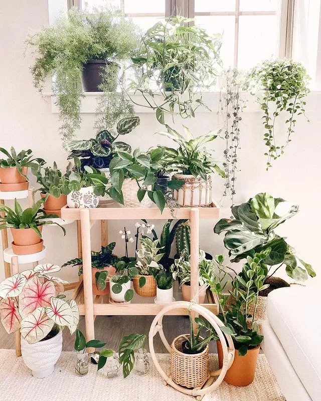 15 Indoor Plant Room Ideas to Create Your Personal Green Paradise 3 Wheel in the Cart