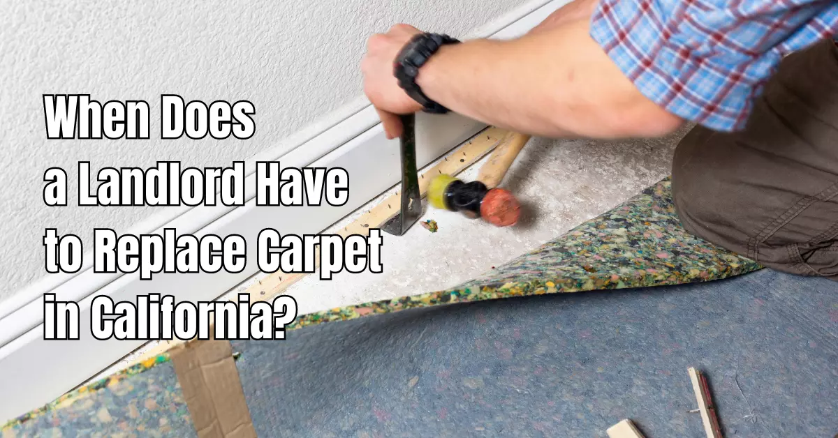 When Does a Landlord Have to Replace Carpet in California
