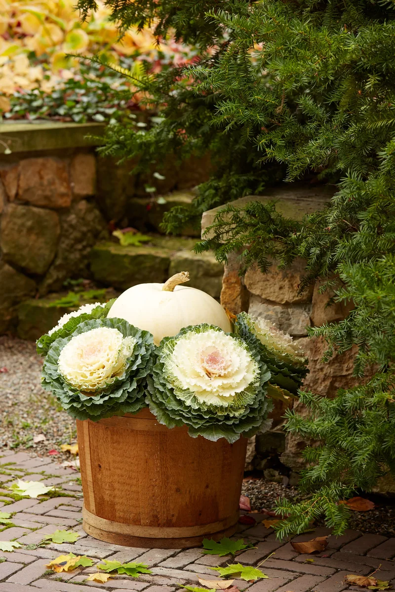 25 Elegant White Pumpkin Ideas for Stunning Fall Decor 20 White Pumpkin Planter Ideas