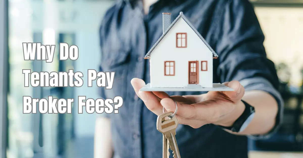 Why Do Tenants Pay Broker Fees