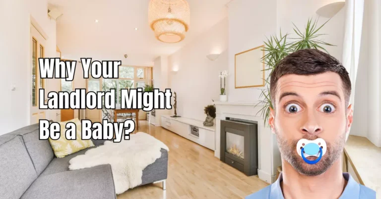 Why Your Landlord Might Be a Baby? Rental Awareness