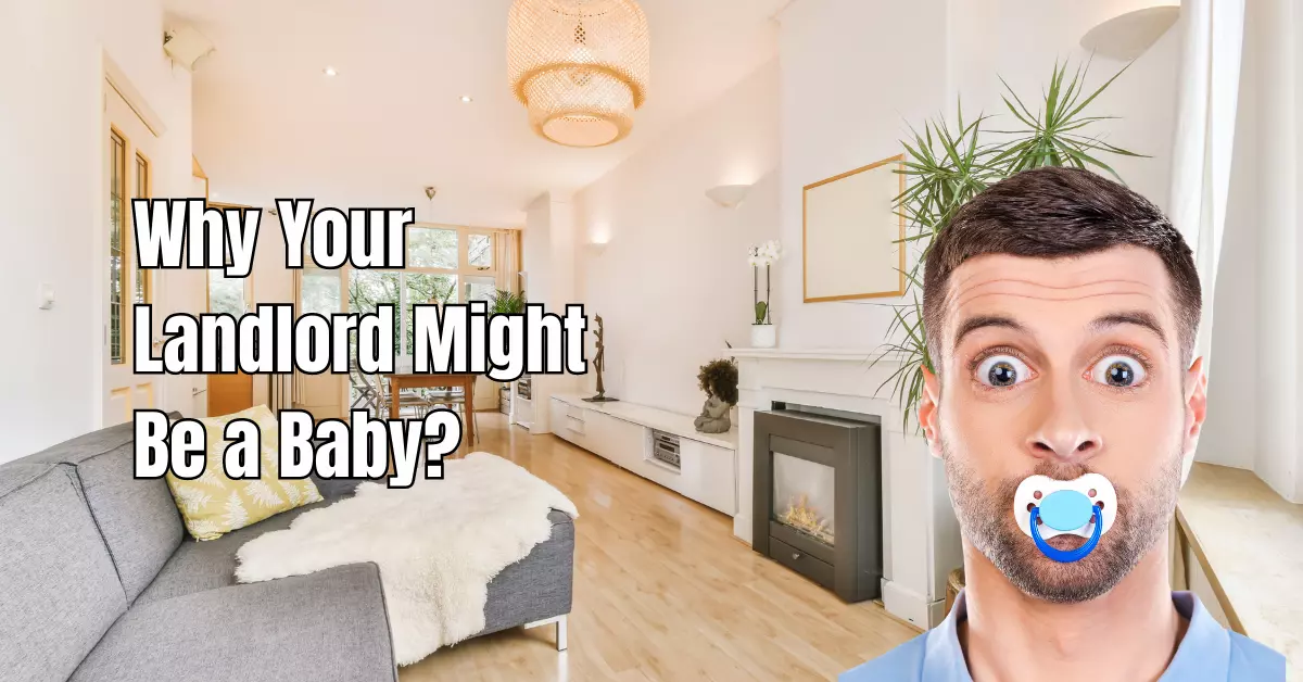 Why Your Landlord Might Be a Baby