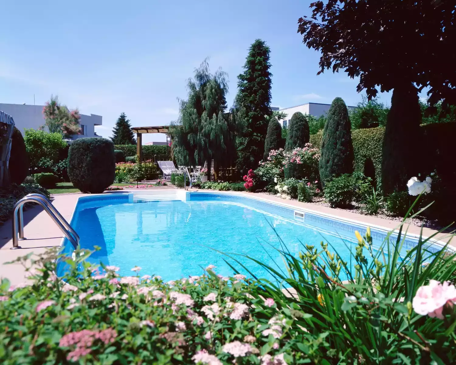 16 Pool Landscaping Ideas That Transform Your Area Wildflowers