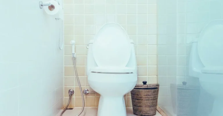 Will Landlord Fix the Clogged Toilet? – Rental Awareness