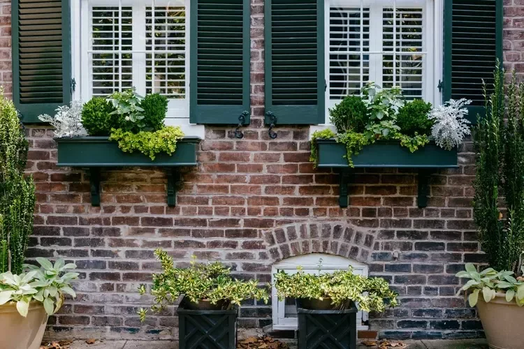 10 Raised Garden Bed Ideas That Maximize Small Spaces Window Boxes