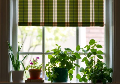 Window Herb Garden