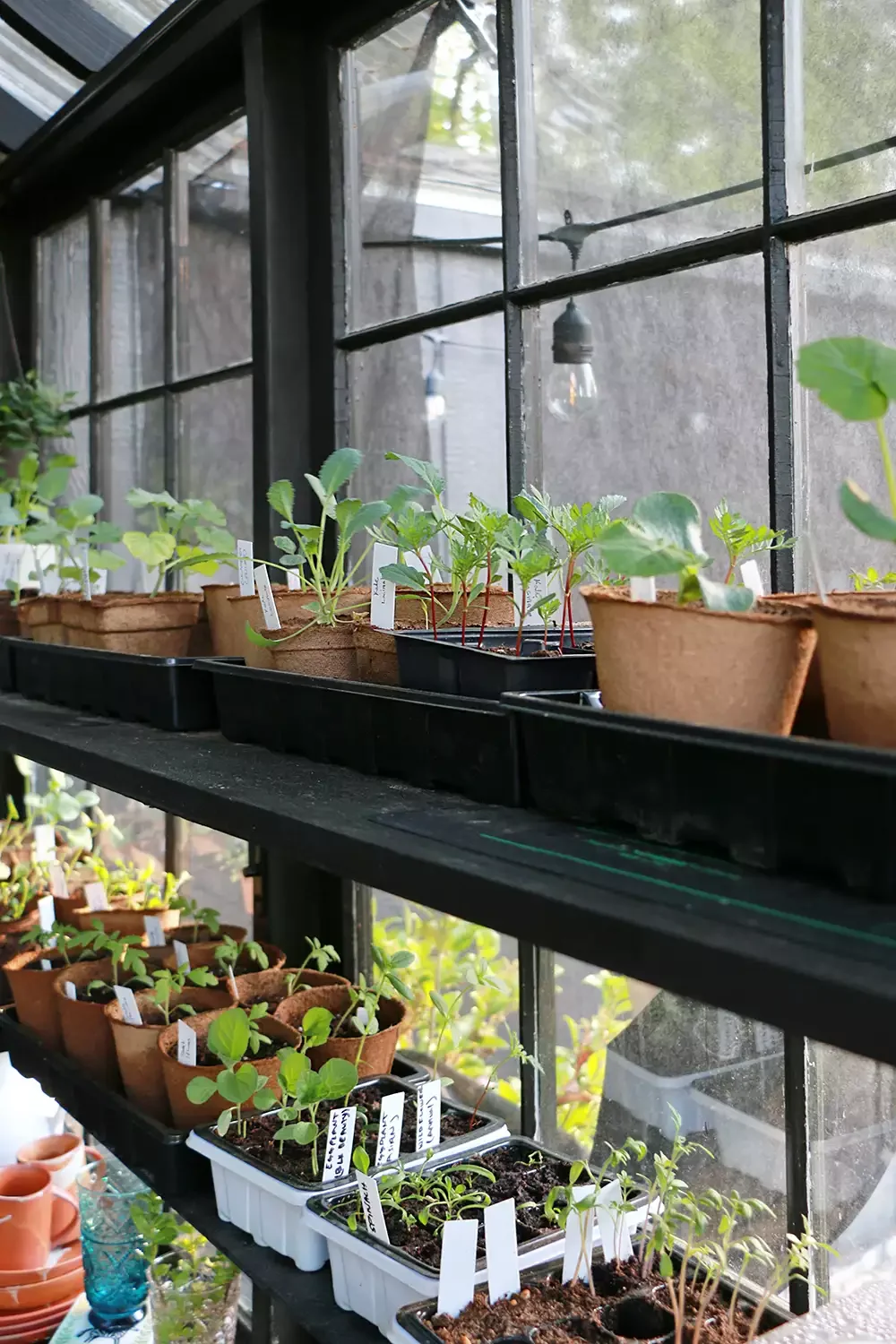 25 Smart Shed Storage Solutions to Transform Your Space Window Shelves