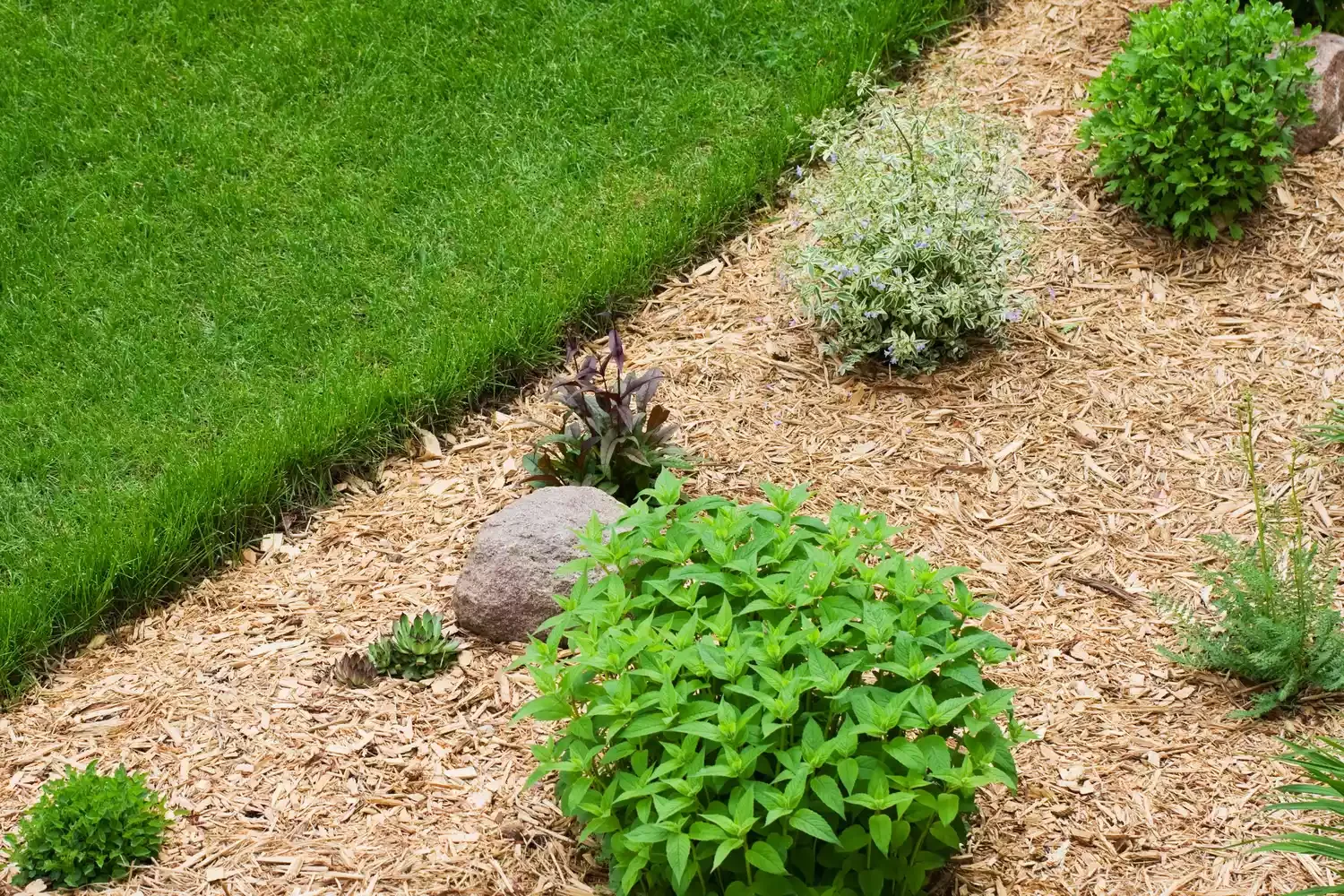 30 Affordable and Creative Ways to Define Your Garden Boundaries Wood Chip Mulch Garden Border