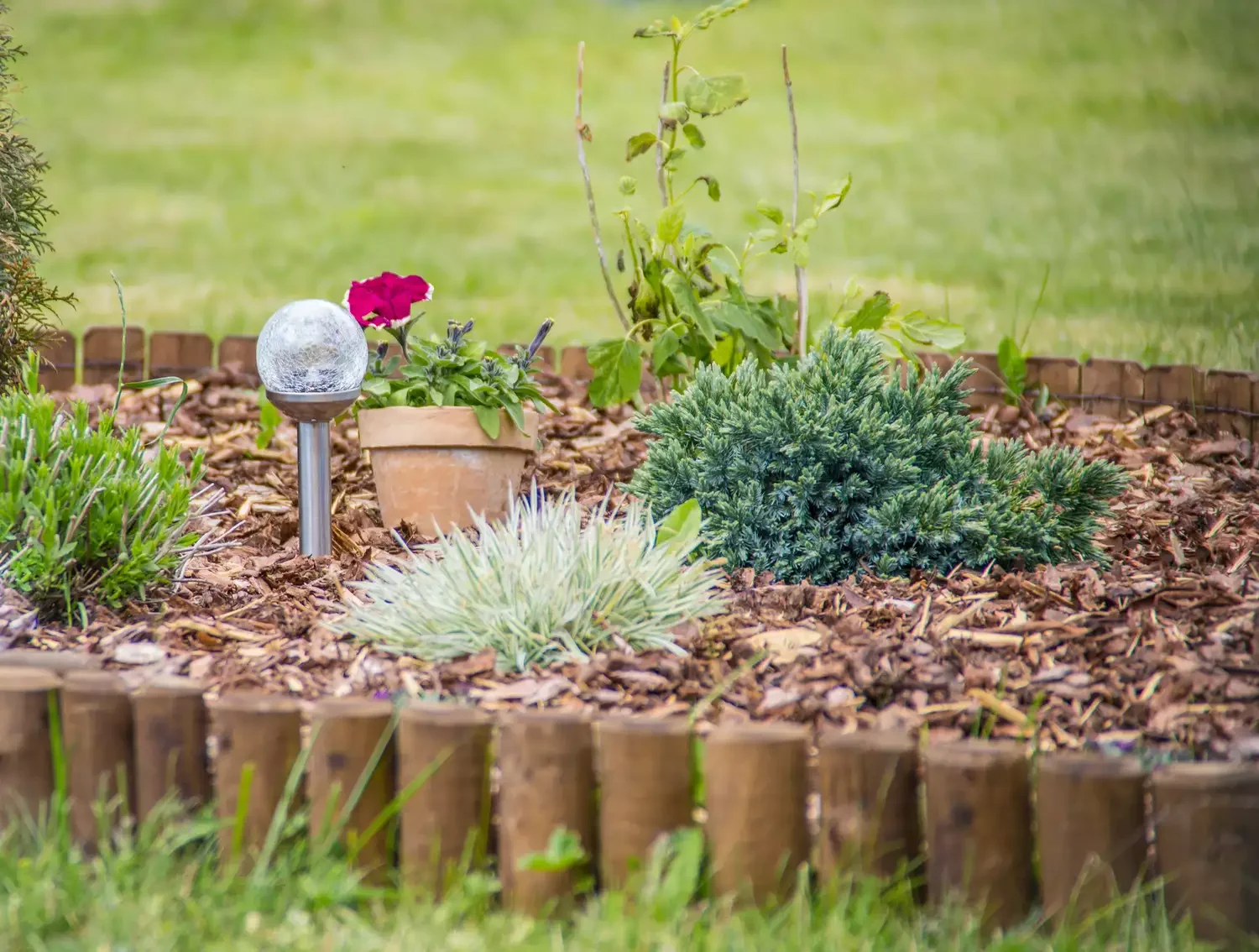 30 Affordable and Creative Ways to Define Your Garden Boundaries Wood Edge