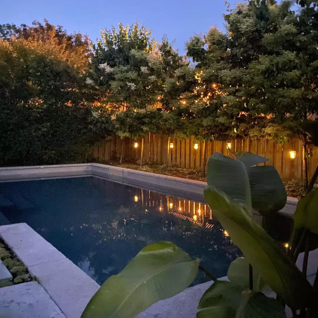 28 Budget-Friendly Privacy Fence Solutions That Transform Your Outdoor Space Wood Fence Lighting