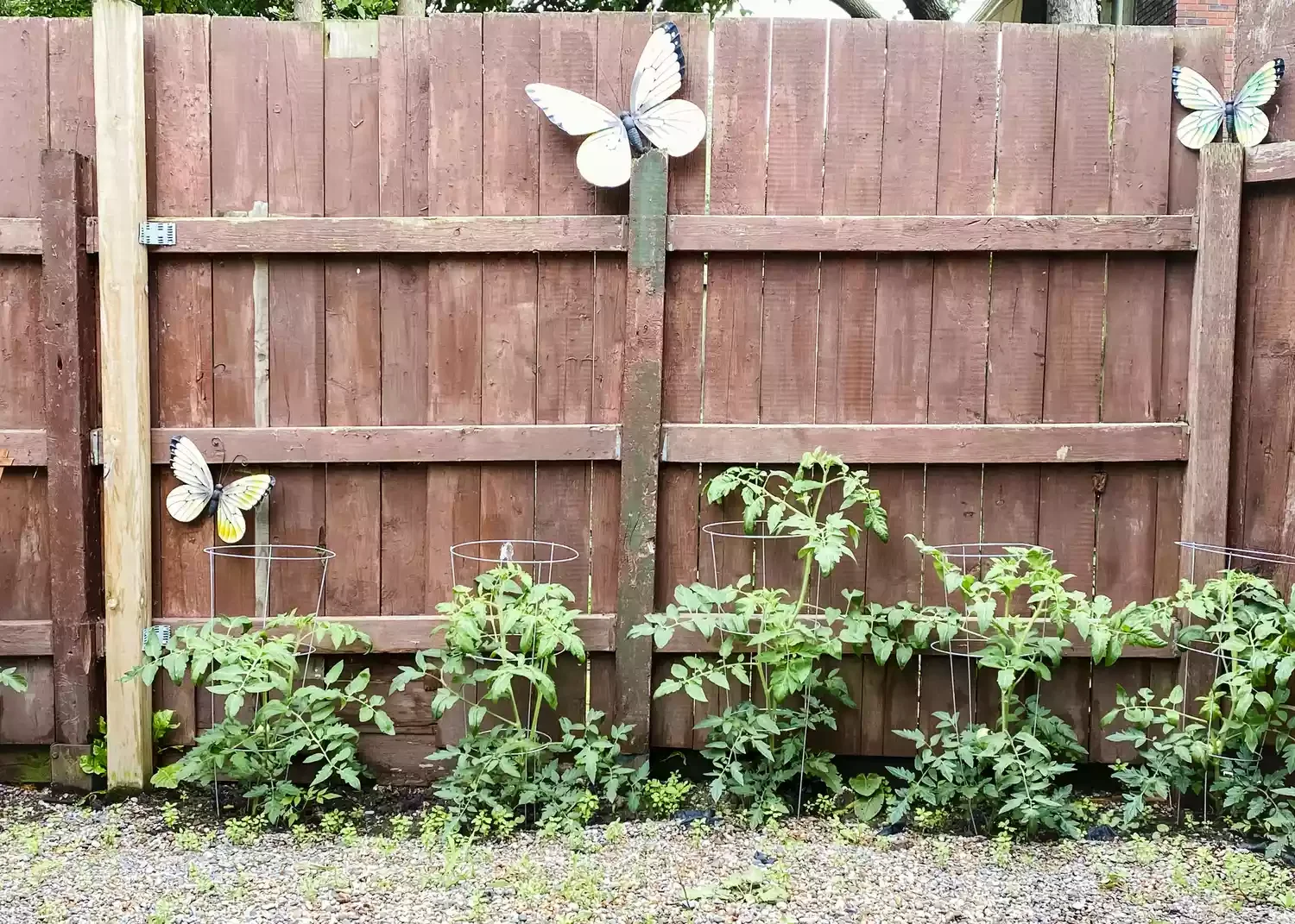 28 Budget-Friendly Privacy Fence Solutions That Transform Your Outdoor Space Wood Fence With Plants