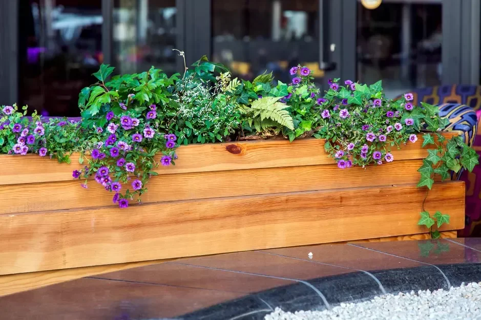 Wooden Planter Box