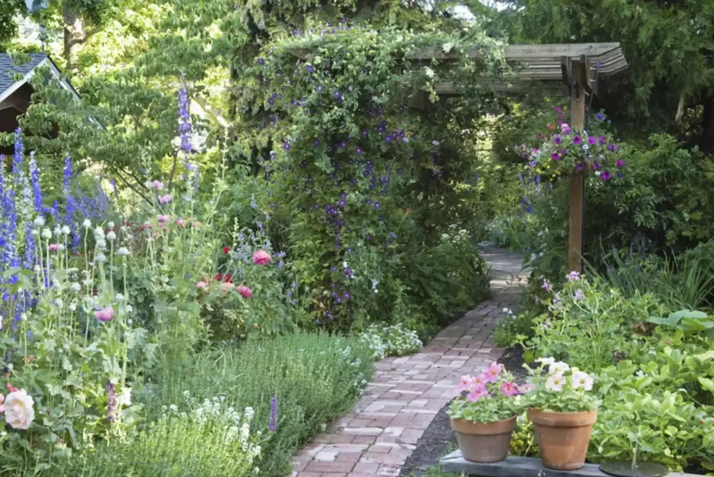 Wooden Trellis With Flowers