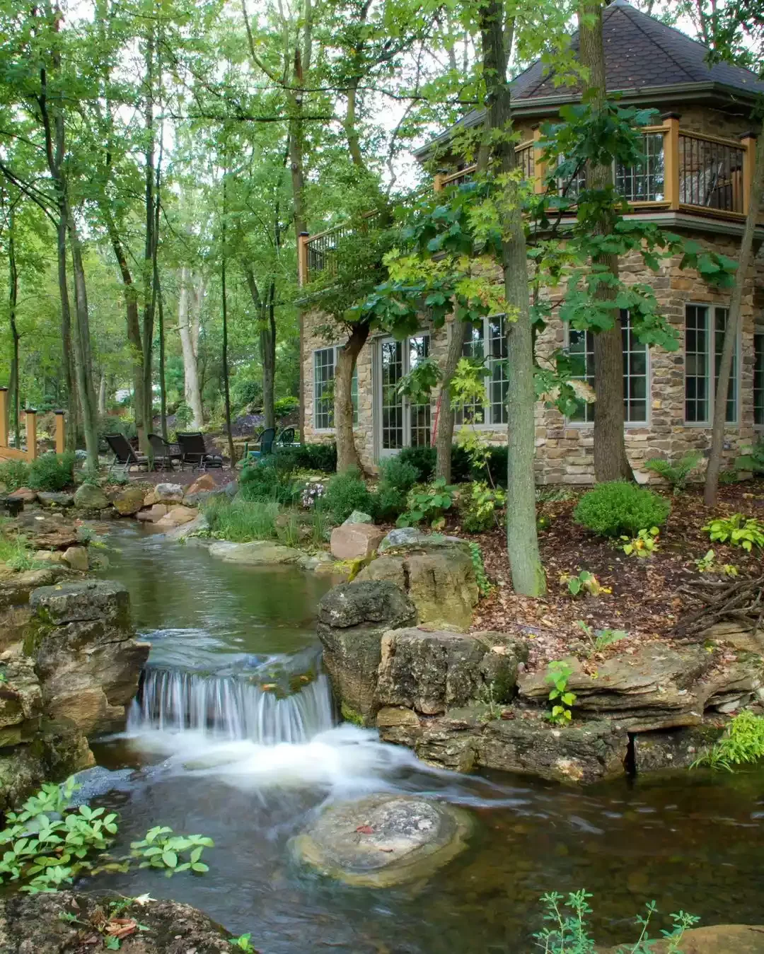 Woodland Oasis