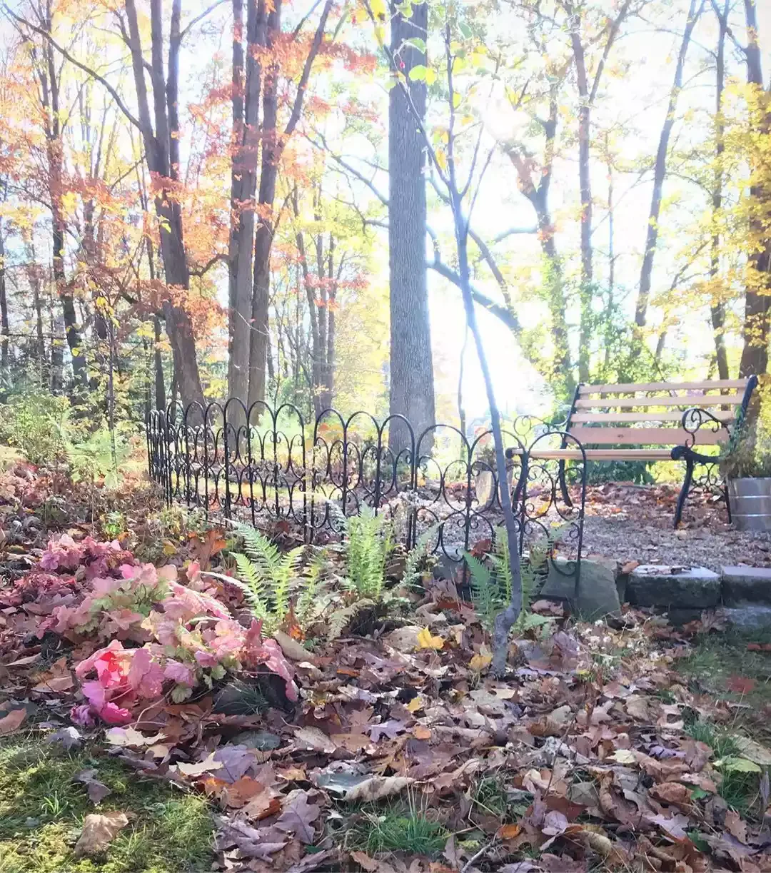 12 Water-Smart Landscaping Ideas for Your Home Woodland Shade Color