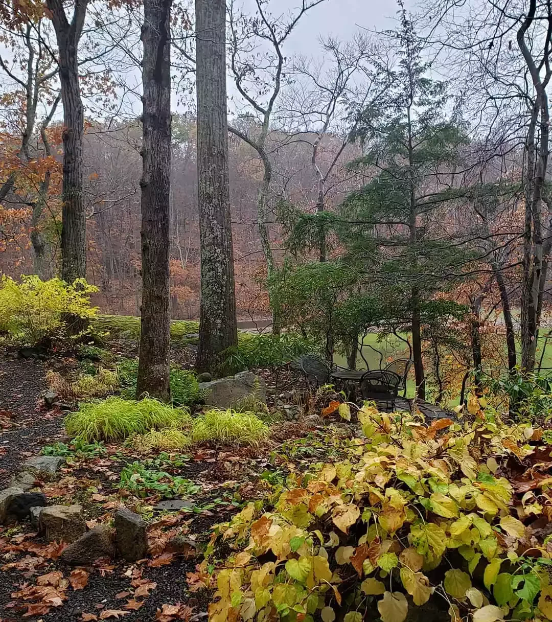 12 Water-Smart Landscaping Ideas for Your Home Woodland Shade Gardens