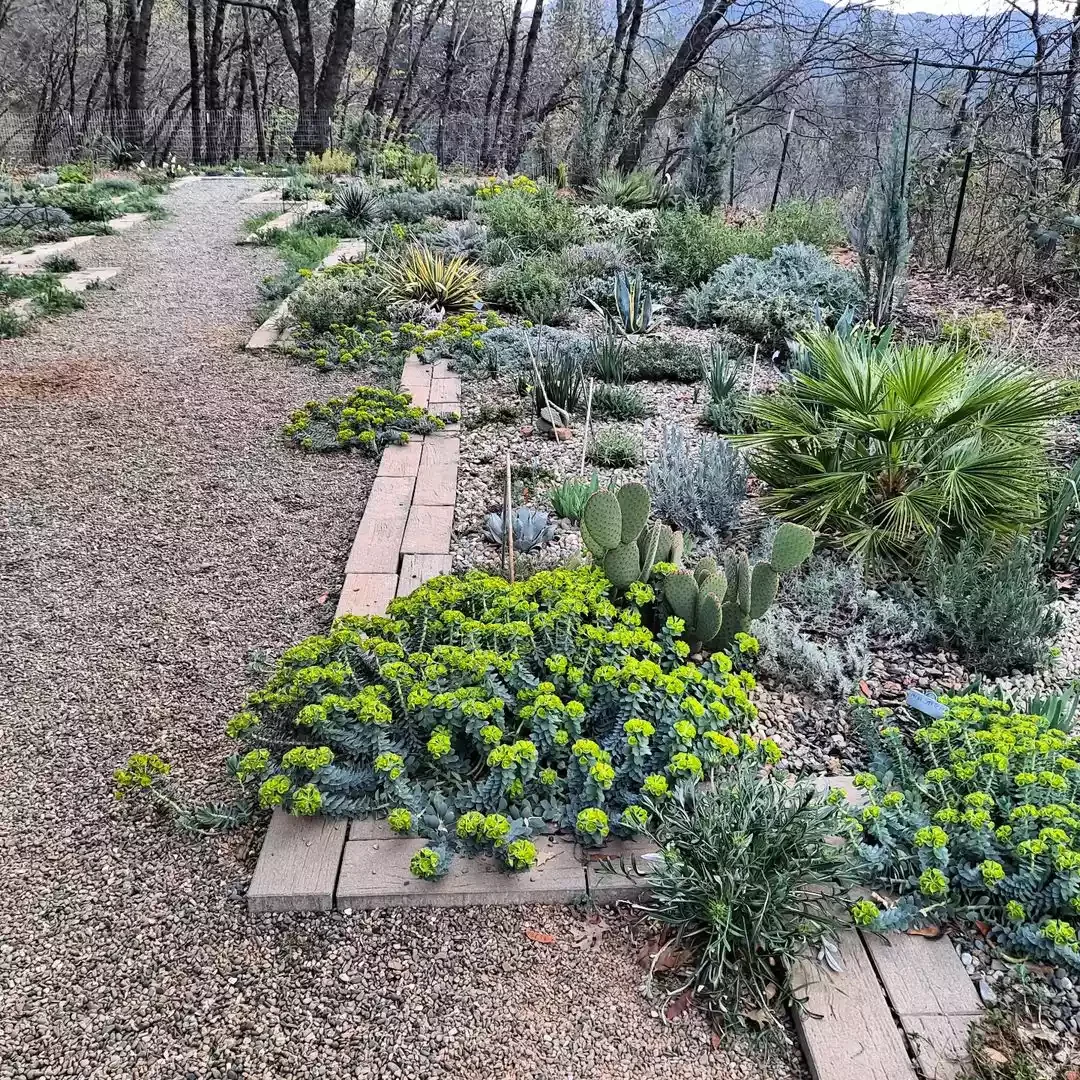 24 Creative River Rock Ideas to Transform Your Outdoor Space Xeriscape Pea Gravel
