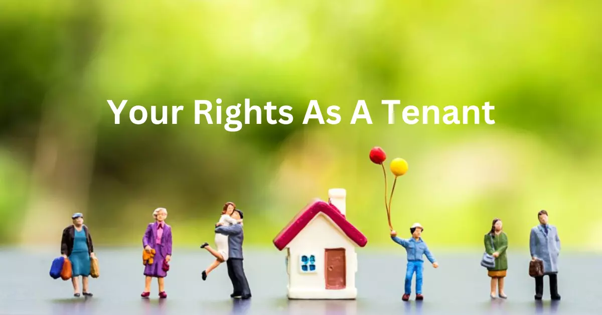 what-are-my-rights-as-a-tenant-at-will-in-massachusetts