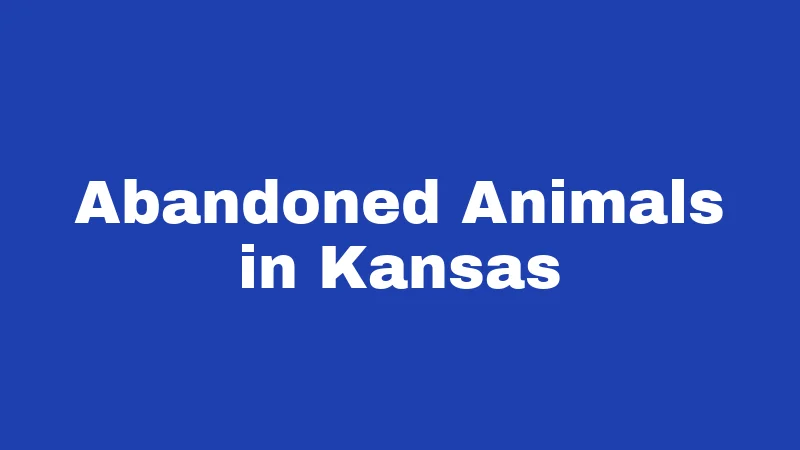 Abandonment Laws in Kansas (2026): What You Could Lose Without Knowing It 4 Abandoned Animals in Kansas
