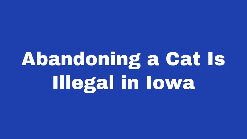 Abandoning a Cat Is Illegal in Iowa