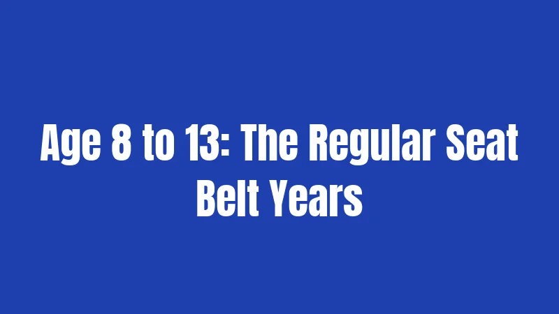 Age 8 to 13: The Regular Seat Belt Years