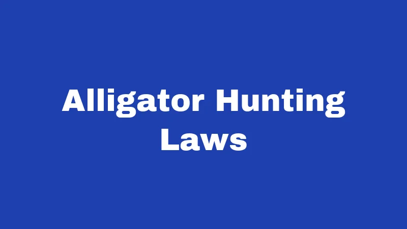 Hunting Laws in Louisiana (2026): Rules Every Hunter Must Follow 3 Alligator Hunting Laws