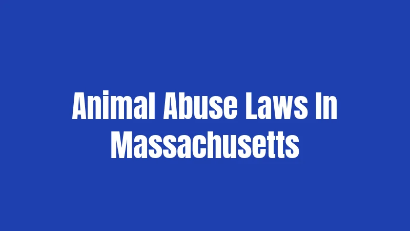 Animal Abuse Laws In Massachusetts
