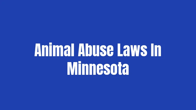 Animal Abuse Laws In Minnesota
