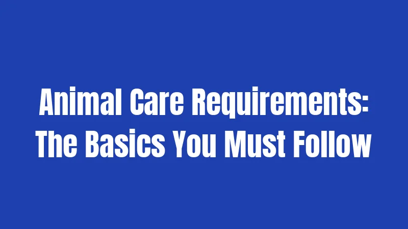 Animal Care Requirements: The Basics You Must Follow
