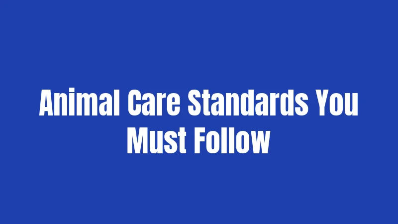 Animal Care Standards You Must Follow