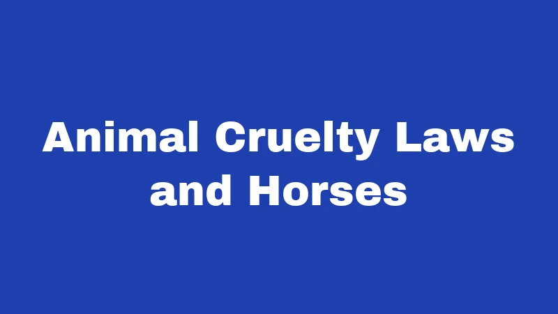 Animal Cruelty Laws and Horses