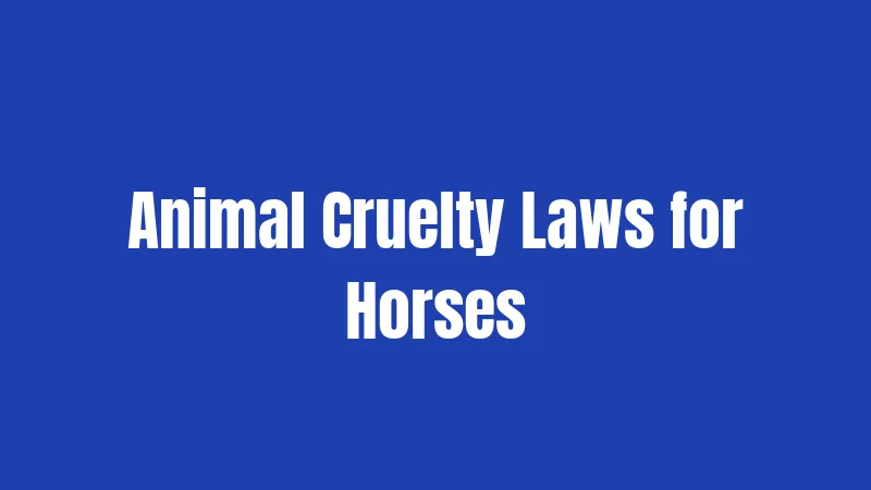 Animal Cruelty Laws for Horses