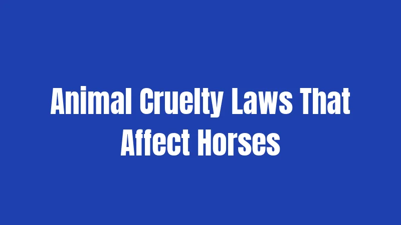 Animal Cruelty Laws That Affect Horses