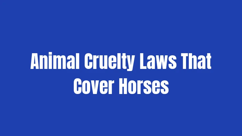 Animal Cruelty Laws That Cover Horses