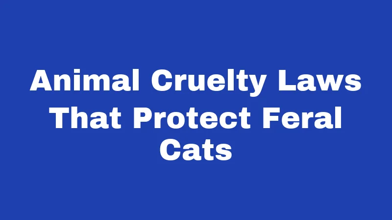 Animal Cruelty Laws That Protect Feral Cats